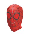 Spiderman Kids Costume