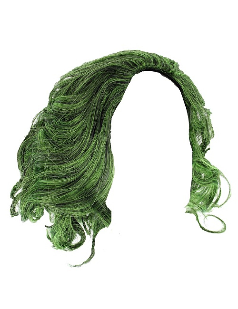 The Joker Green Wig