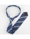 Harry Potter Ravenclaw Tie
