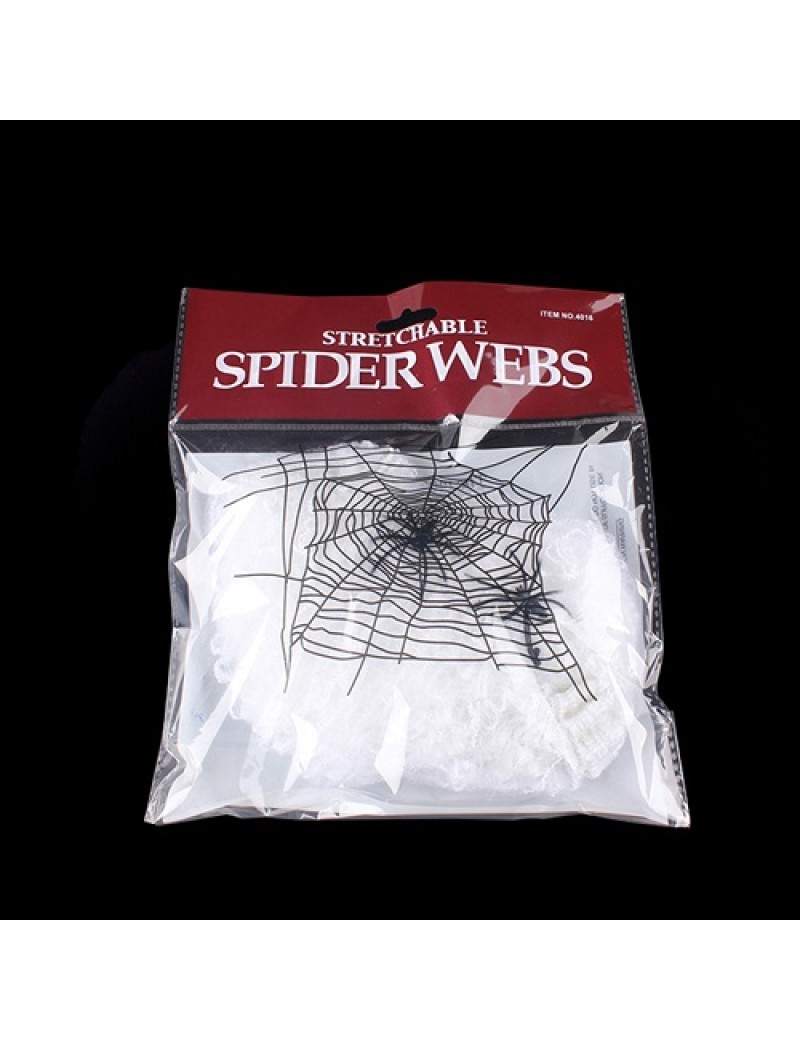 White Spider Web