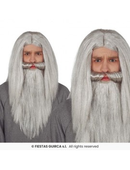 Wizard Grey Wig And Beard Set